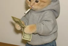 funny pfp