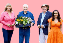 bhg daily sweepstakes